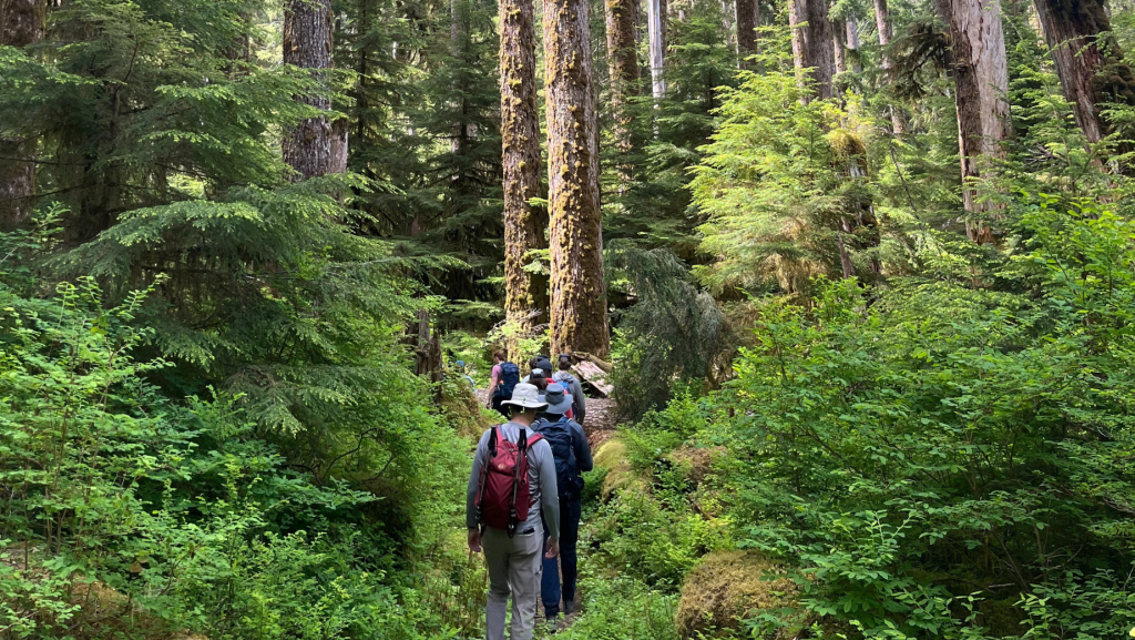 Finding Balance for Nonprofit Fundraisers